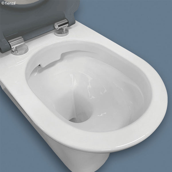 Delta Care Back-to-Wall Toilet Suite, Grey Seat
