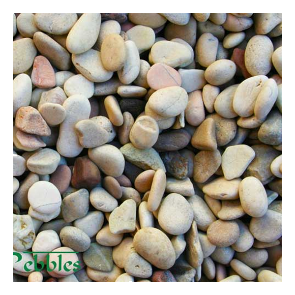 Mixed Indo Natural Pebbles