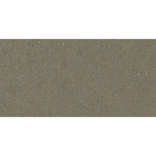 300x600mm Spring Taupe 901