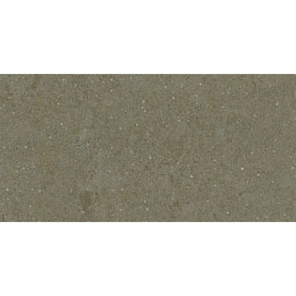 300x600mm Spring Taupe 901